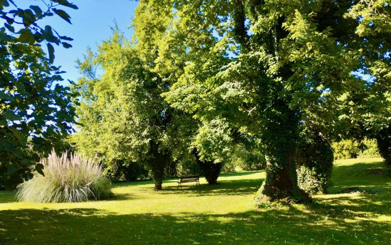 La Vieille Ferme: Superbe Complexe De 3 Gites En Pierre Avec Piscine Au Coeur Du Perigord Noir Saint-Genies 外观 照片