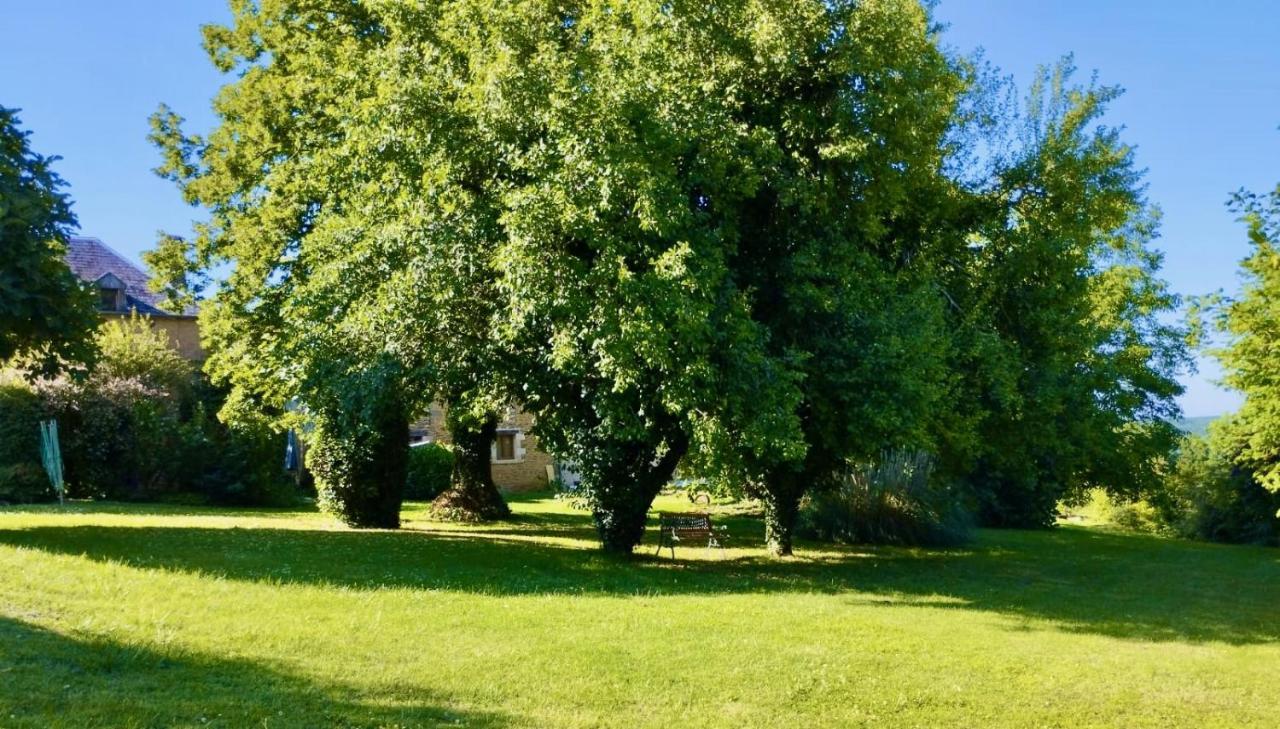 La Vieille Ferme: Superbe Complexe De 3 Gites En Pierre Avec Piscine Au Coeur Du Perigord Noir Saint-Genies 外观 照片